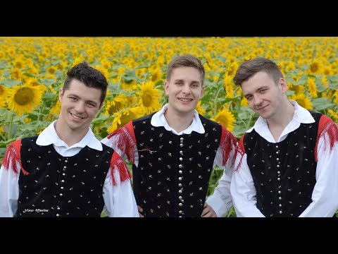 Ansambel Zadetek _ TUJI KRAJI (Ptujski festival 2017)