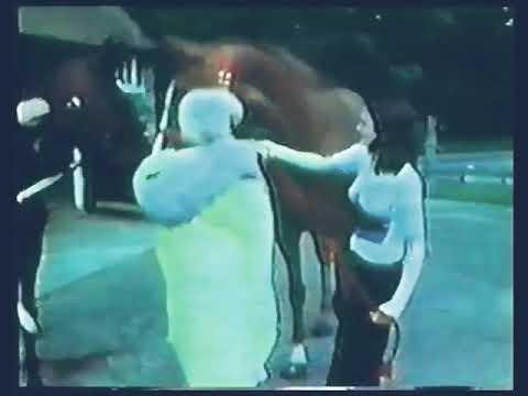 DOROTHY SQUIRES AT HOME