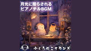 夜奏-Yasō-：月明かりに浮かぶ夜の詩