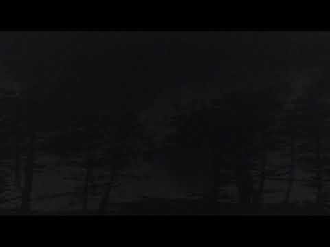 IHAVEONECHANCE X CREEPIN DA MANE - MENTAL STATE [PROD. CXXLION] (MEMPHIS 66.6 EXCLUSIVE)