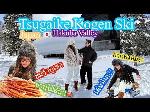 อันพาวาร์ป : Tsugaike Kogen Ski 🇯🇵เที่ยวลานสกี ชมกำแพงหิมะ  หมู่บ้านน้ำใส โอชิโนะ ฮักไก