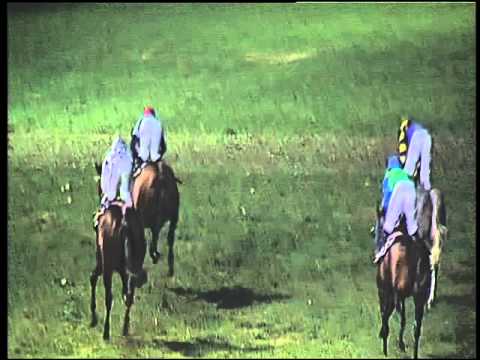 Galoppo 02/12/2015 - 7° corsa