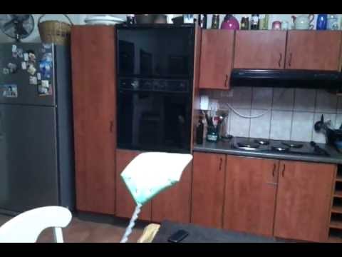 The Ultimate fly Swatter!