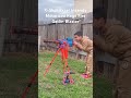 X-Shot Excel Insanity Motorized Rage Fire Gatlin Blaster #zuru #X-Shot #toys #toyreview #toydemo