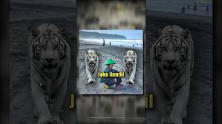 Download lagu Dikira orang sakti ternyata orang gangguan jiwa : Joko Kendil #shorts #faktakelamdunia #viralvideo mp3