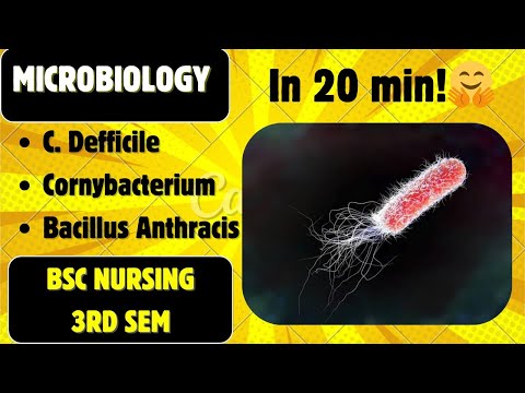 GRAM POSITIVE BACILLI Part 2 || B.Sc. Nursing 3rd Sem || Microbiology
