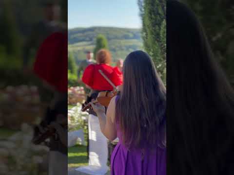 YouTube preview