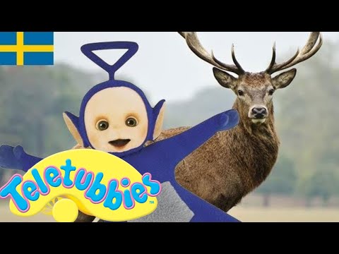 ☆ Teletubbies Svenska ☆ Säsong 9 , Episod 218 ☆ Visar för barn ☆