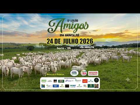 6º LEILÃO AMIGOS DA SANTA FÉ - VILA SANTA FÉ / PA