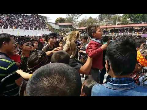 Chapcharkut 2017 - Monkey man