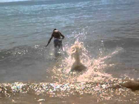 Luis Marreco na Praia da Rocha