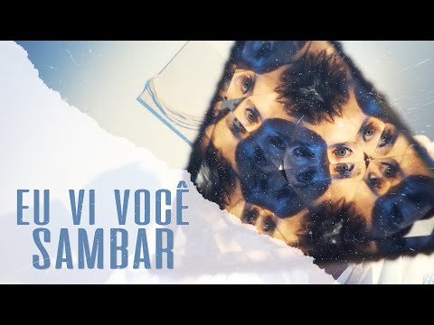 Video thumbnail for Eu Vi Você Sambar