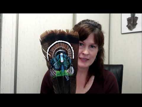 Painting on Feathers. So Easy!