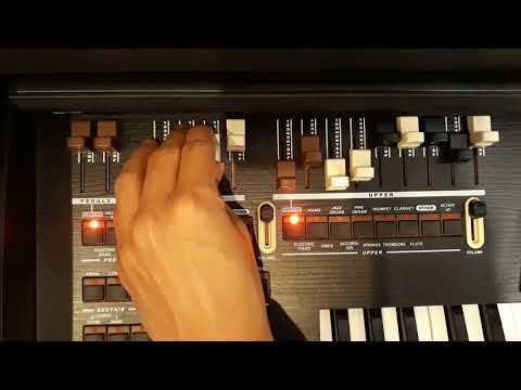 Sugestão de Registração TOKAI MD-7 Tiago Aquilano