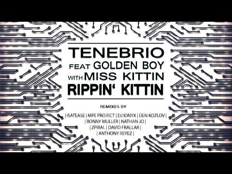 Tenebrio Feat.  Golden Boy With Miss Kittin - Rippin' Kittin (Original Mix)