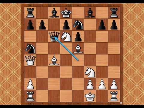 Šahovska partija vredna svačije pažnje # 1412