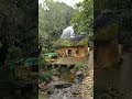 Barsaat Ke Din Aaye Shorts Status ️ Naturebeauty Wathsppstatus Barish Rain Hindisong ️