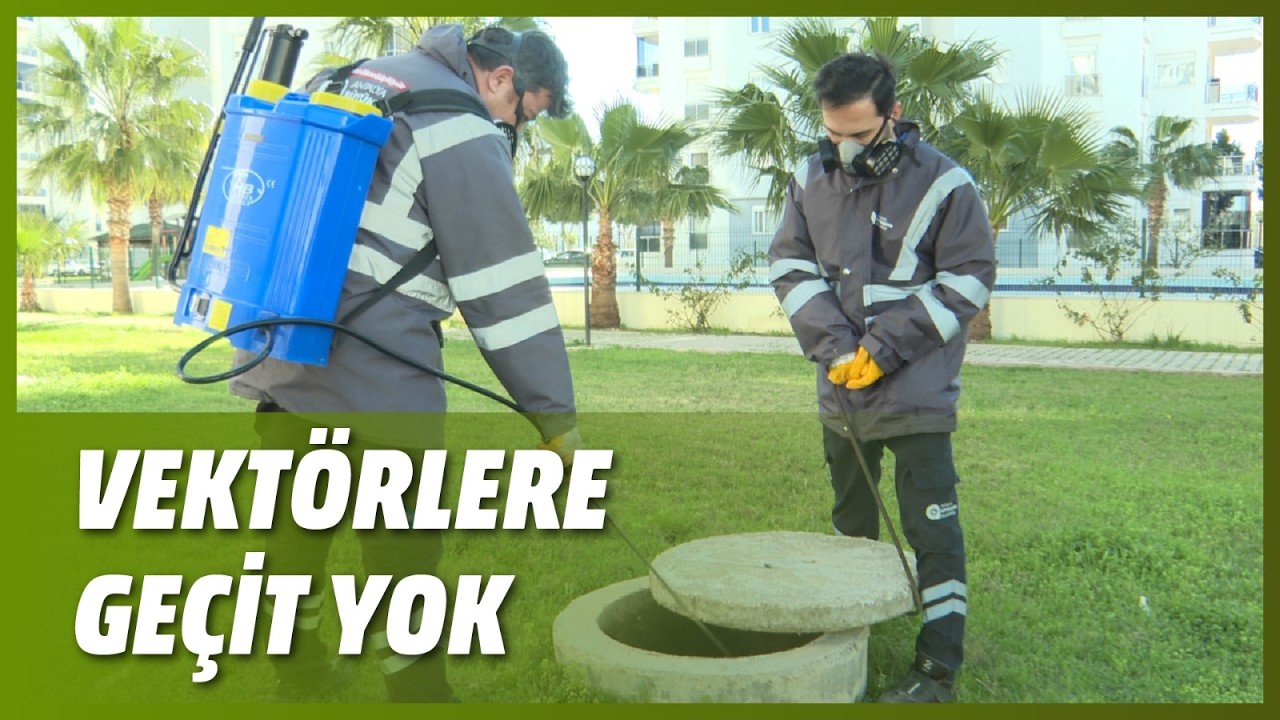 VEKTÖRLERE GEÇİT YOK