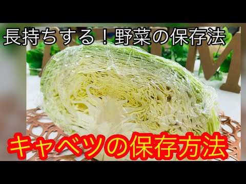 白キャベツの保存: キャベツはどのようにして長持ちしますか? 植物