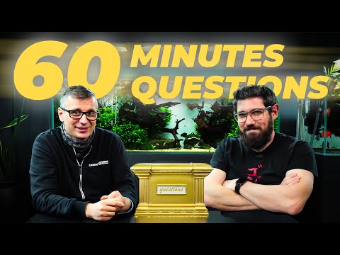 60 Minutes 60 Questions | Aquascpaing Q&A with Green Aqua