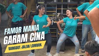 Download lagu FAMOR MANIA _ CHINESE SALT mp3 Download lagu FAMOR MANIA _ CHINESE SALT mp3