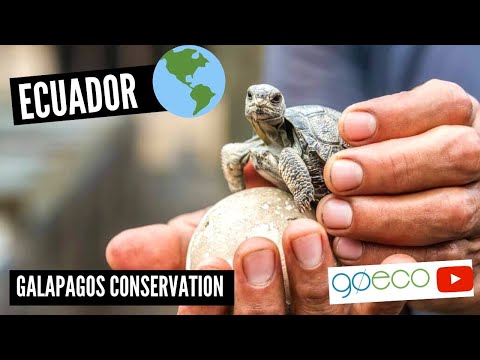 Ecuador - Teaching Assistant in the Galapagos