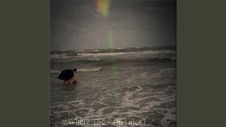 Where the Rain Goes