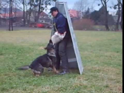 Argo z Jukasu - defence