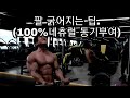 [한의빌더] 팔 굵어지는 팁. (100%내츄럴 동기부여)