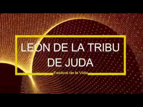 El León De La Tribu De Judá - New Wine