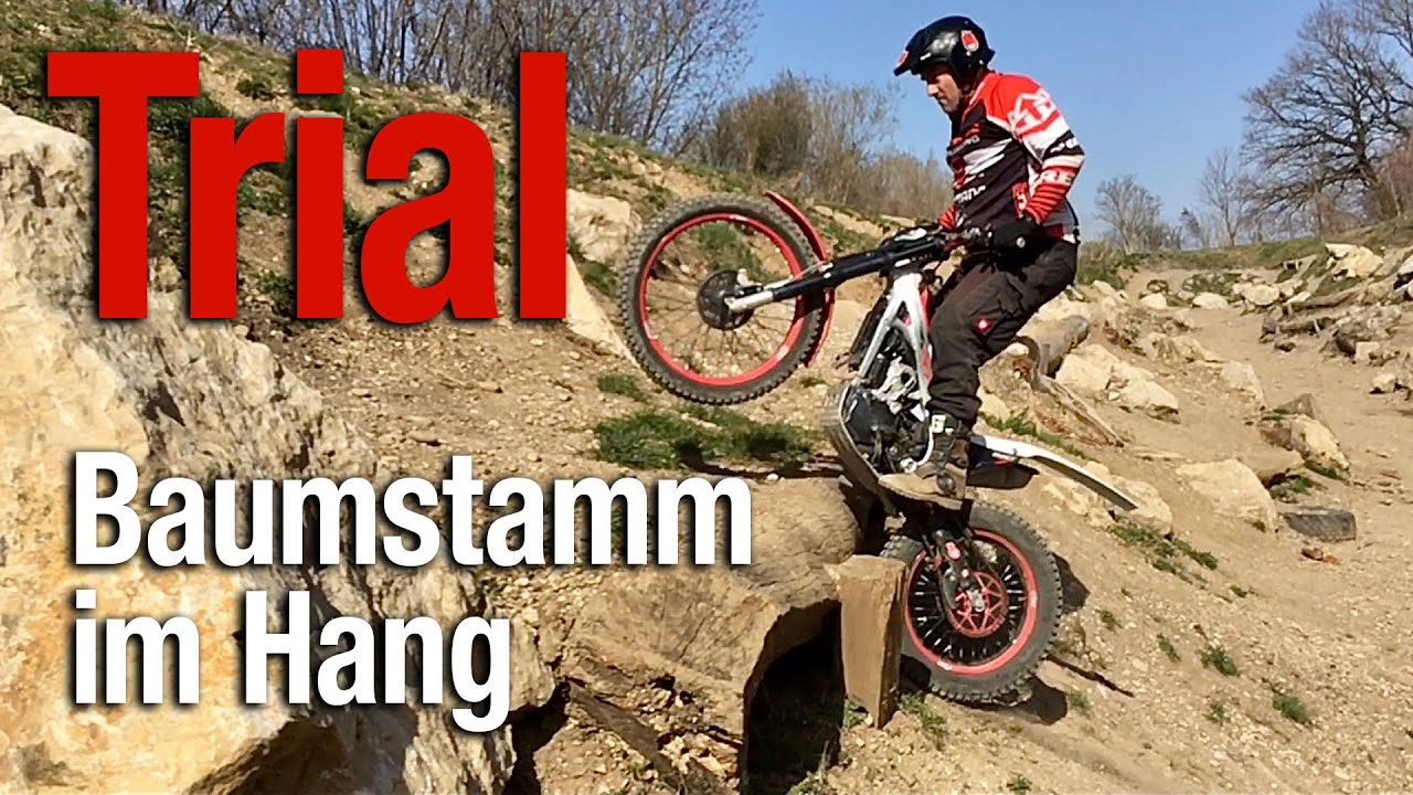 Baumstamm im Hang