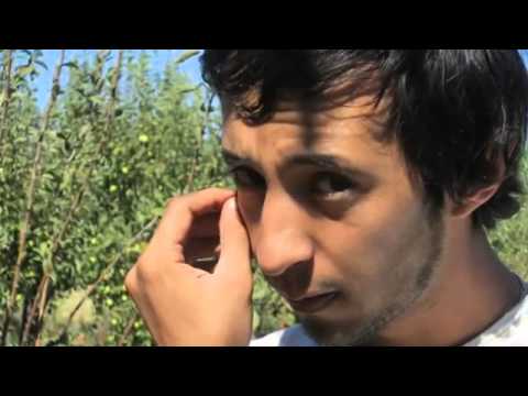 KalpsizKral Ft Rapresyon   Lüx Düşkünü  (2013 )