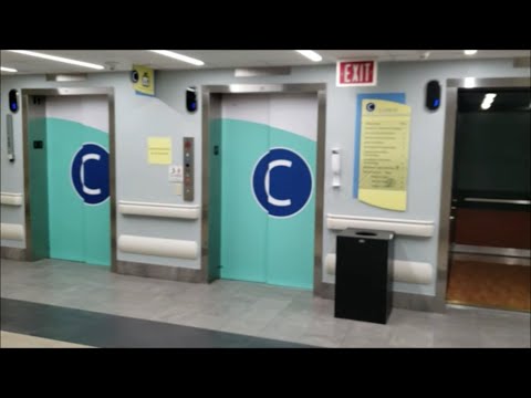 Newly Modernized Otis Series M2 Traction "C" Elevators - Central Hallway - SMH - Sarasota, FL