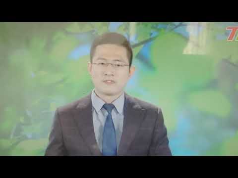 CNA Ident (2019.12.31)