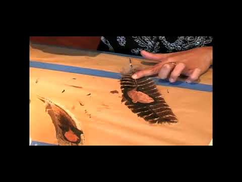 How to Work Feathers for an Acrylic Painting
