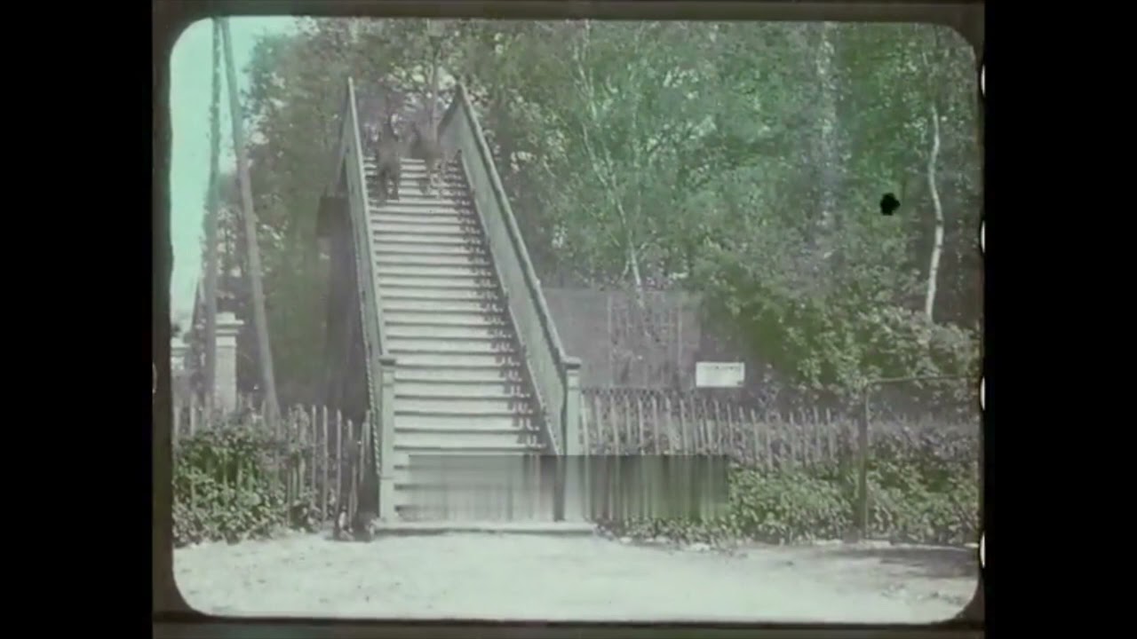 Les Chiens policiers (1907) Police Dogs (Pathé)