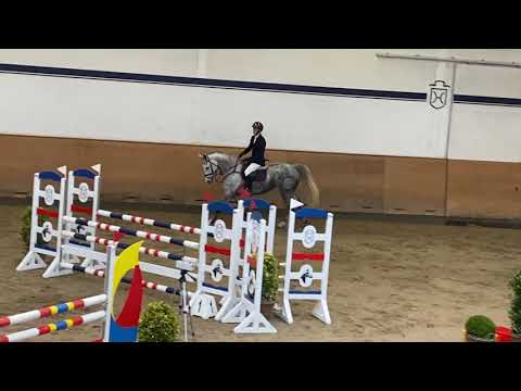 6 y Clarimo Contender mare