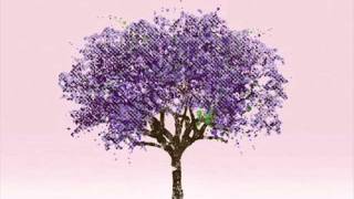 Eels - I'm a hummingbird