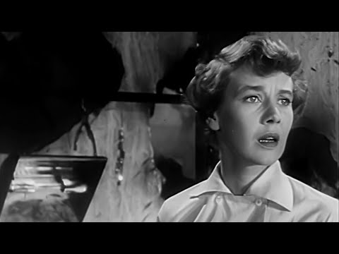 The Second Woman 1950 Film Noir, Mystery Suspense B-Movie - Robert Young, Betsy Drake, John Sutton