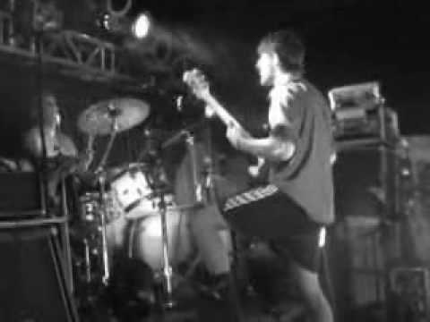 The Mullet Monkeys - Preggaecore (Live 2009)