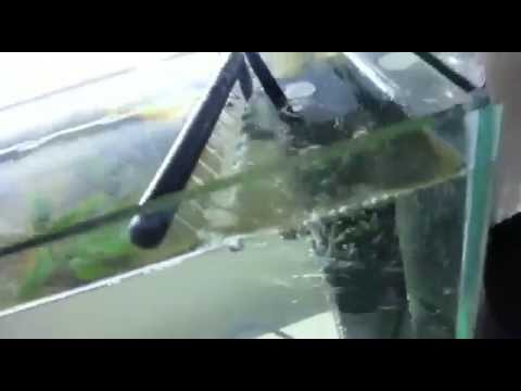 Quik İç Filtre / Fiskiye Aparatı