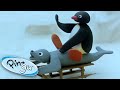 Play Day With Pingu Pingu Official Cartoons For Kids