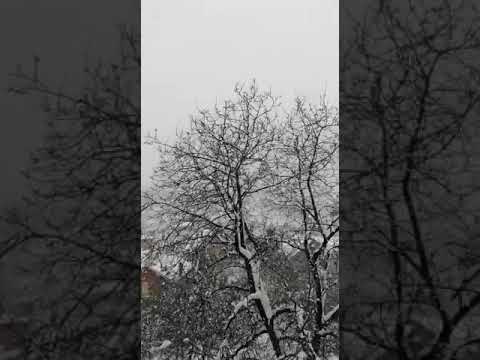 Turkey Beautiful  Weather!