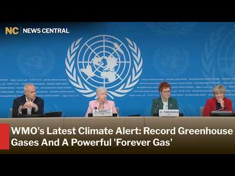 Climate Warning: CO2 Reaches 426.8 PPM as WMO Reveals ...