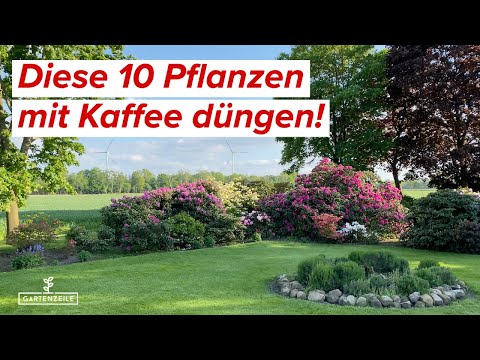 , title : 'Diese 10 Pflanzen lieben Kaffeesatz! Kaffee als Dünger im Garten einsetzen!'