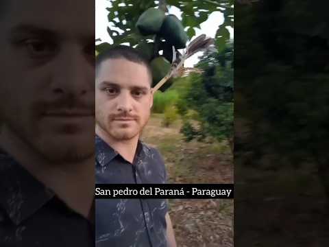 🇵🇾 #random #py #sanpedrodelparaná #ayolas #humor #parana #paraná #paraguay #yacyretá 🇦🇷🇧🇷