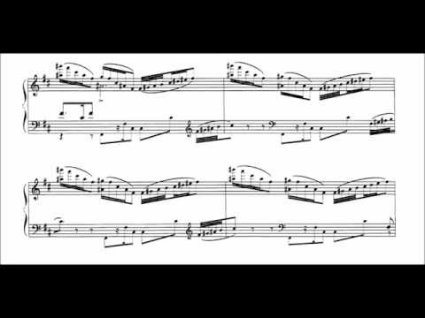 Wagner-Brassin - Walkürenritt - Cyprien Katsaris Piano