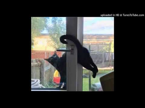 [FREE] Makko x T-Low Type Beat