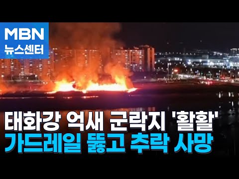 태화강 억새 군락지 '활활'…가드레일 뚫고 추락 사망 [MBN 뉴스센터]