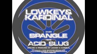 LowKey & Kardinal - Acid slug - Afulab 24 .wmv